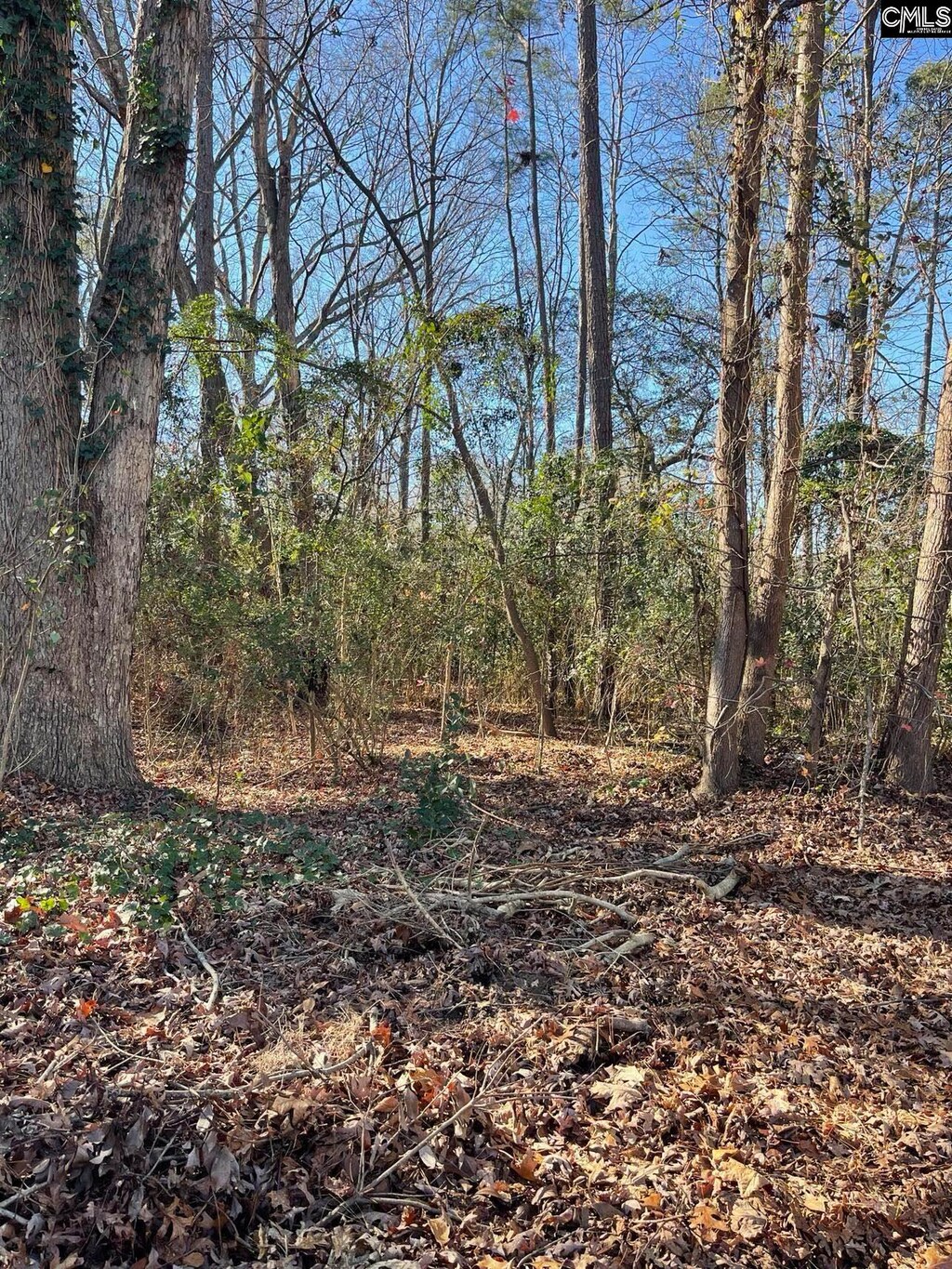 18 Crescent Ln, Irmo, SC 29212
