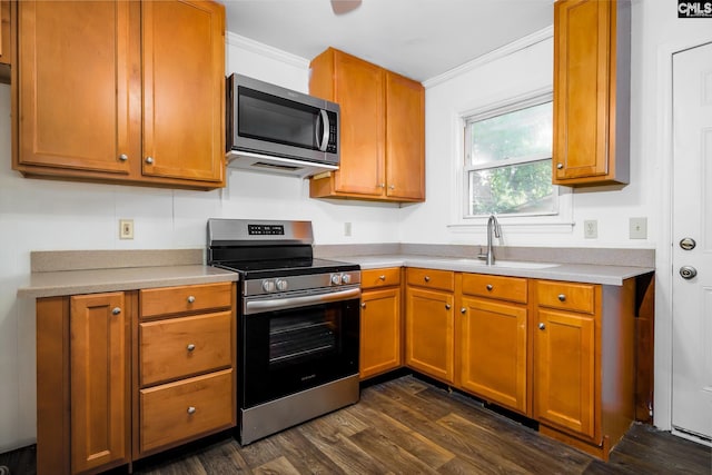 kitchen with appliances with stainless steel finishes, crown molding, sink, and dark hardwood / wood-style floors