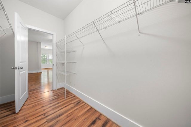 spacious closet with hardwood / wood-style flooring