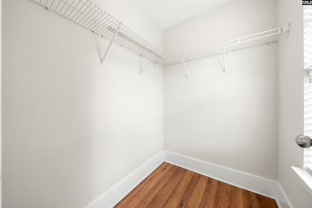 spacious closet with hardwood / wood-style flooring