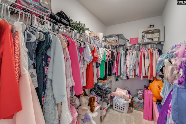 spacious closet featuring carpet floors