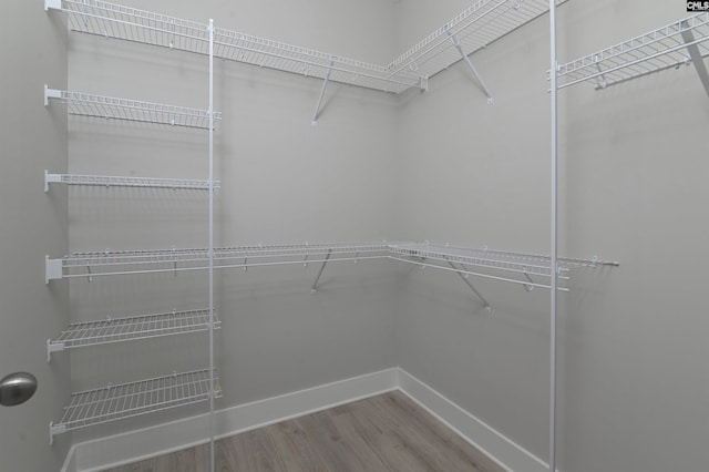 spacious closet with hardwood / wood-style flooring