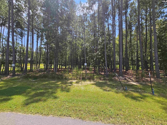 0 Stewart Landing Dr Unit 6, Prosperity SC, 29127 land for sale