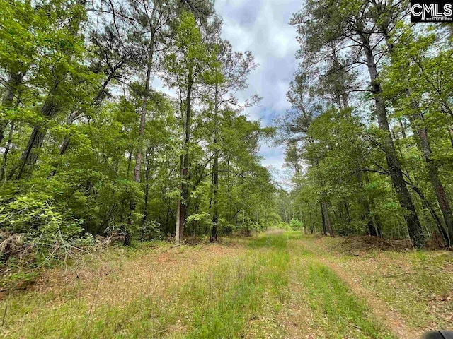 Bull Swamp Rd, North, SC 29112