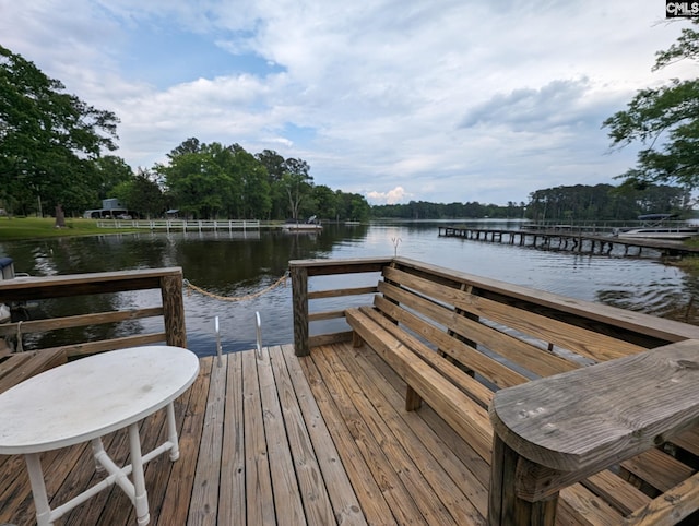 dock area with a water view