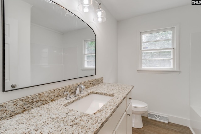 bathroom featuring a shower, vanity, toilet, and hardwood / wood-style flooring