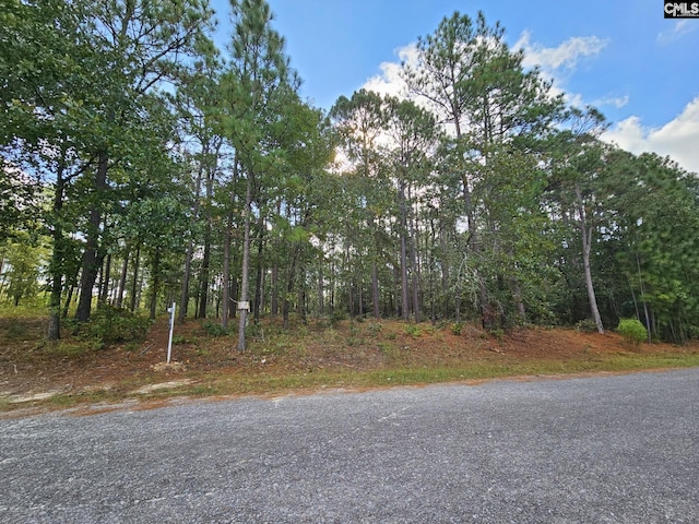 1020 Reynord Cir Unit 3, West Columbia SC, 29172 land for sale