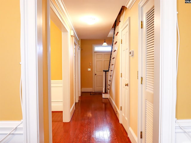 hallway with dark hardwood / wood-style floors and ornamental molding