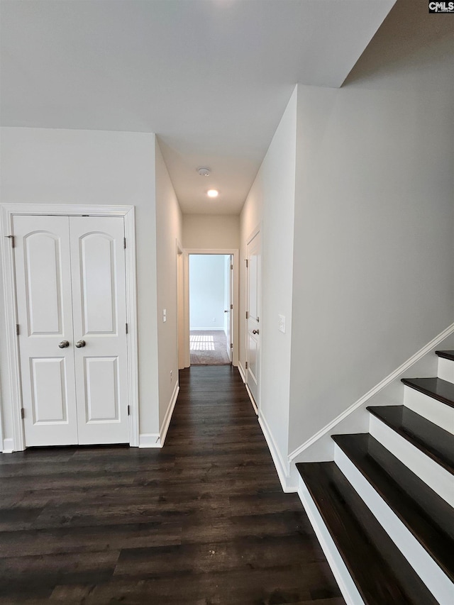 hall featuring dark wood-type flooring