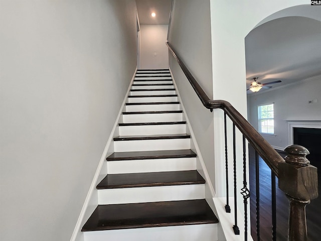 stairway with ceiling fan and ornamental molding