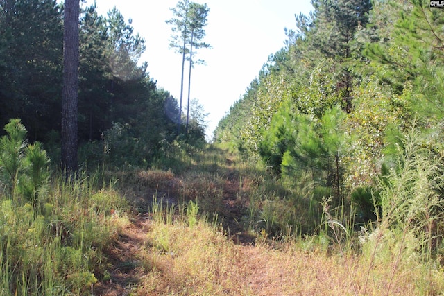 Listing photo 2 for 0 Grady Pond Rd, Wagener SC 29006