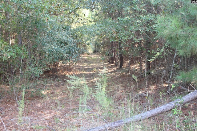 Listing photo 3 for 0 Grady Pond Rd, Wagener SC 29006