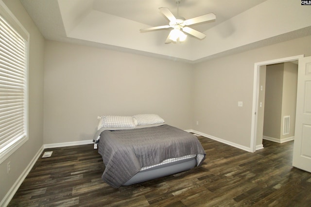 bedroom with multiple windows, a raised ceiling, dark hardwood / wood-style flooring, and ceiling fan