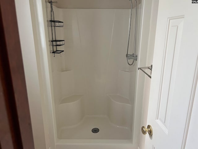 bathroom with walk in shower