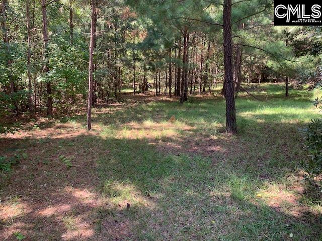 Listing photo 2 for Wateree Estates Rd, Winnsboro SC 29180