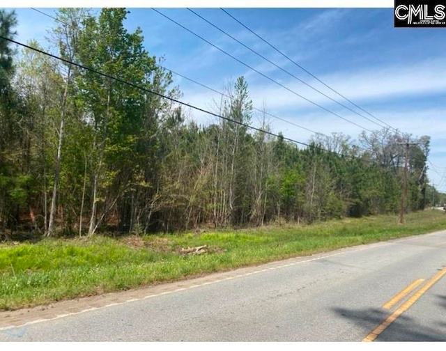 0 Murray Lindler Rd, Chapin SC, 29036 land for sale