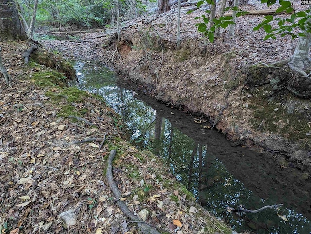 view of local wilderness