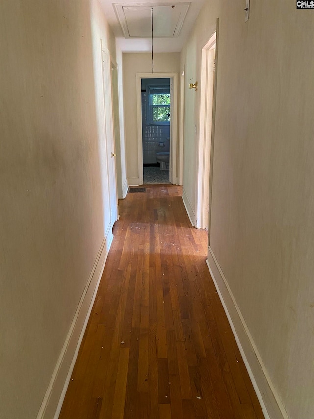 hallway with dark hardwood / wood-style floors