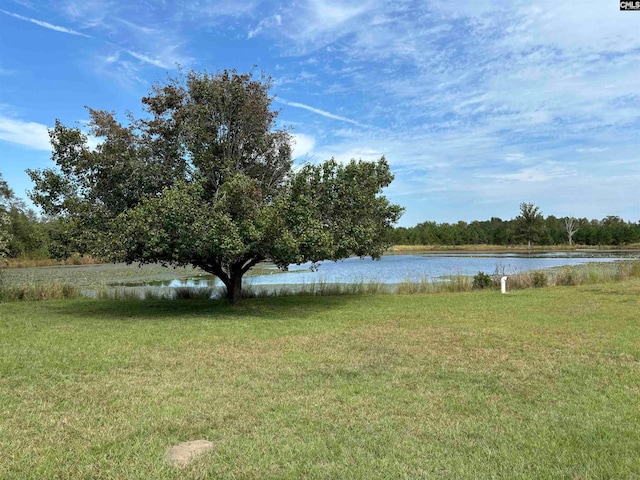 view of yard with a water view