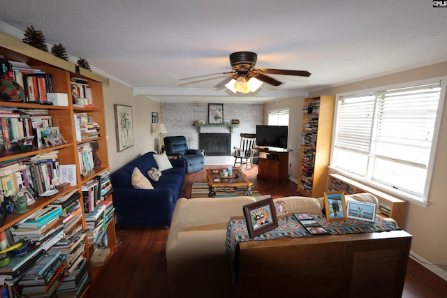 living room featuring ceiling fan, ornamental molding, a textured ceiling, dark hardwood / wood-style floors, and a fireplace