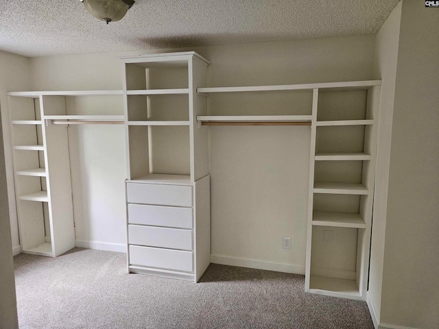 walk in closet with carpet floors