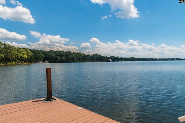 view of dock with a water view