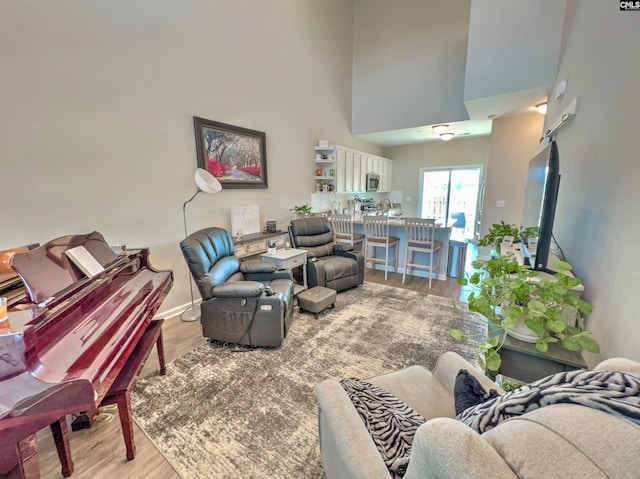 living room featuring a towering ceiling and light hardwood / wood-style floors