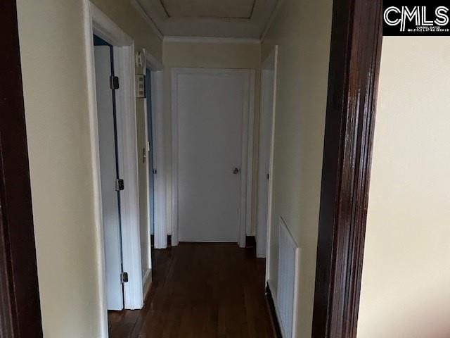 hallway featuring dark hardwood / wood-style floors