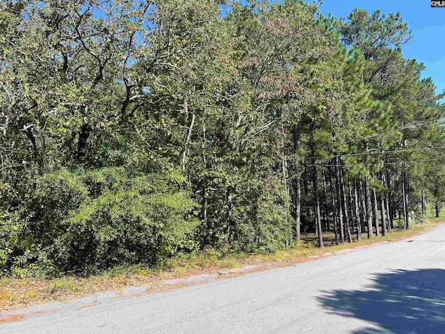 132 Stonebridge Dr, Gaston SC, 29053 land for sale