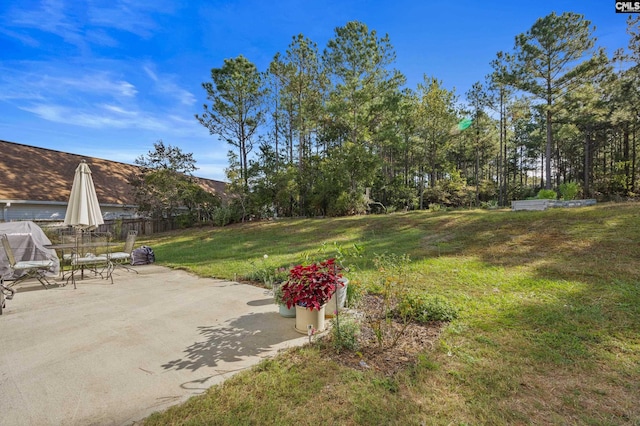 view of yard with a patio area