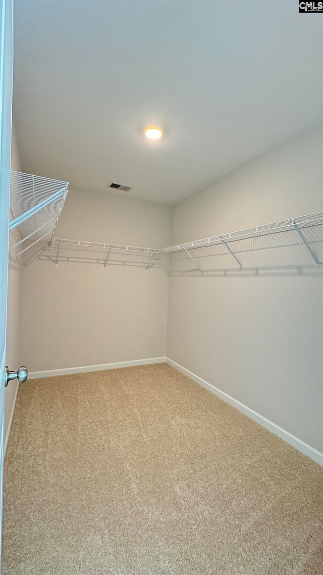 spacious closet with carpet flooring