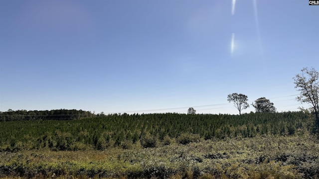 view of local wilderness featuring a rural view