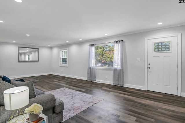 living room with dark hardwood / wood-style floors