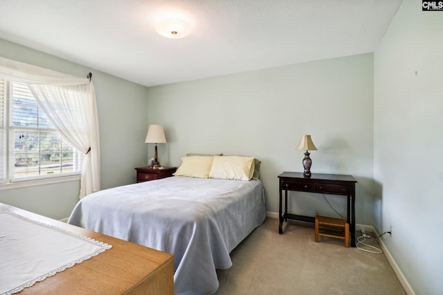 886 Polson Rd, Camden, SC 29020 - bedroom with baseboards and light carpet