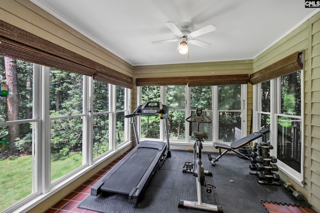 workout area with plenty of natural light, wooden walls, and ceiling fan