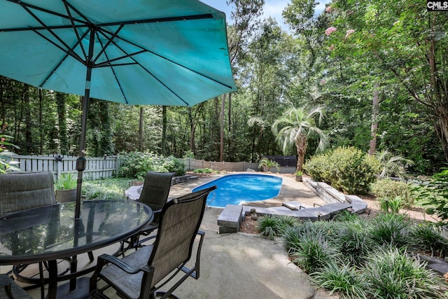 view of pool featuring a patio