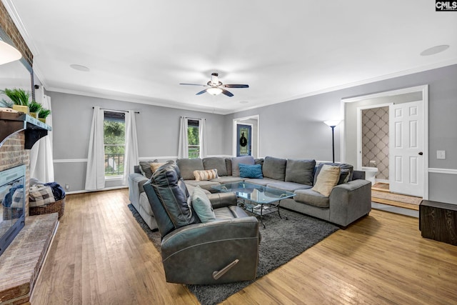 living room with ceiling fan, ornamental molding, and light hardwood / wood-style floors