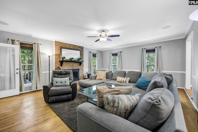 living room featuring a fireplace, plenty of natural light, crown molding, and light wood-type flooring