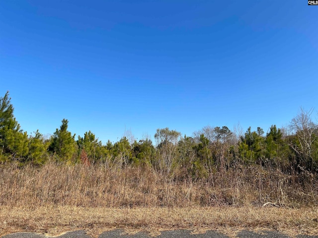 Listing photo 3 for 0 Base Hill Rd, Hopkins SC 29061