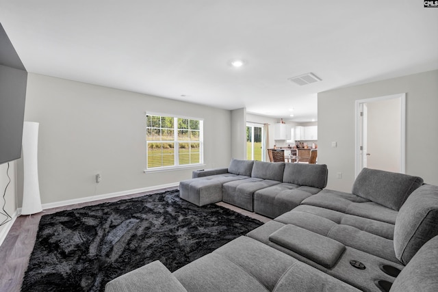 living room with hardwood / wood-style floors