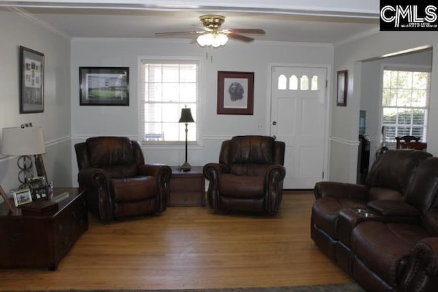 living room featuring a wealth of natural light, hardwood / wood-style floors, crown molding, and ceiling fan