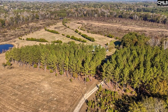 drone / aerial view with a water view and a rural view