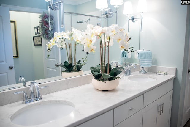 bathroom featuring vanity and a shower with shower door