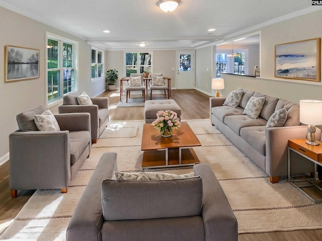 living room featuring ornamental molding, a chandelier, and light wood-type flooring