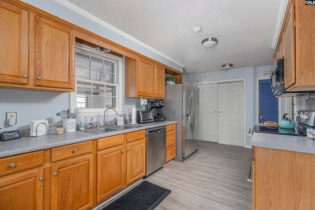 kitchen with a textured ceiling, light hardwood / wood-style floors, sink, and stainless steel appliances