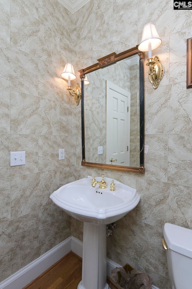 bathroom with wood-type flooring and toilet