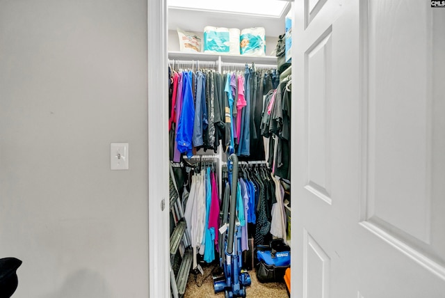 walk in closet with carpet