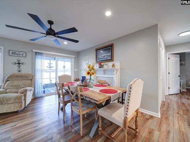 dining space featuring light hardwood / wood-style floors and ceiling fan