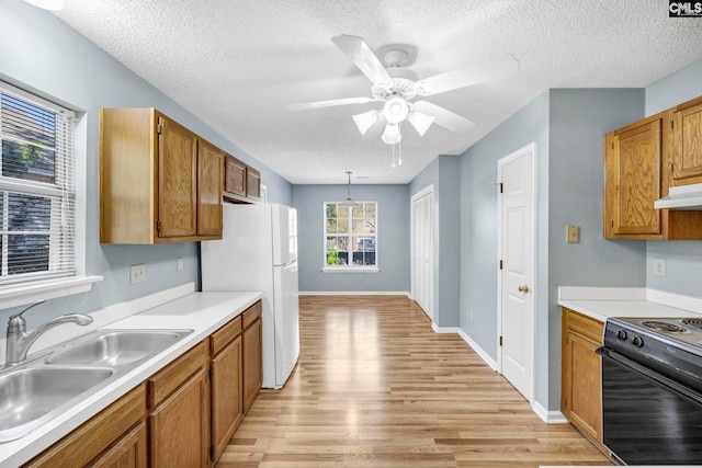 kitchen featuring light hardwood / wood-style floors, a textured ceiling, sink, and hanging light fixtures