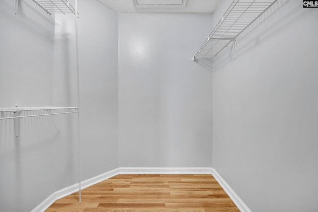 walk in closet with wood-type flooring